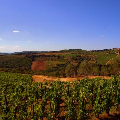 Vallée du Chianti